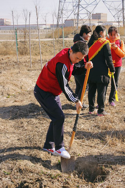 华安保险天津分公司公益植树活动