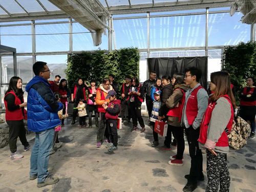 华安保险天津分公司公益植树活动