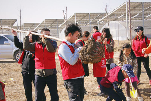 华安保险天津分公司公益植树活动