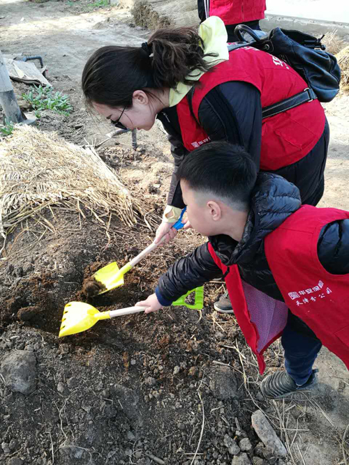 华安保险天津分公司公益植树活动