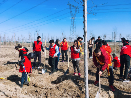 华安保险天津分公司公益植树活动