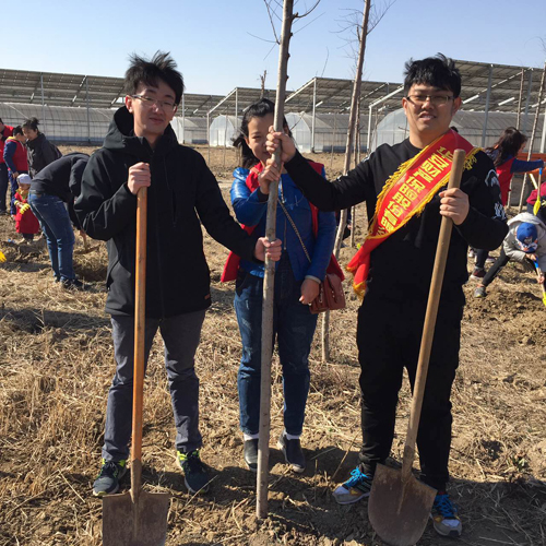 华安保险天津分公司公益植树活动