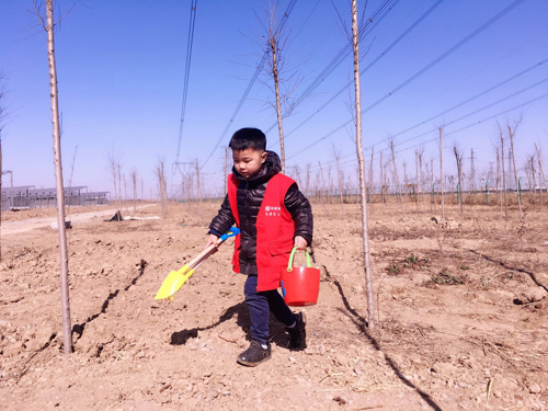 华安保险天津分公司公益植树活动