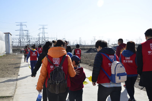 华安保险天津分公司公益植树活动