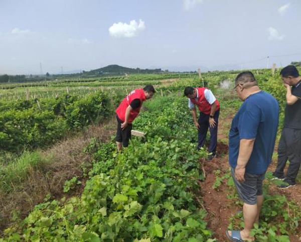 1723540214205788.jpg image003.jpg