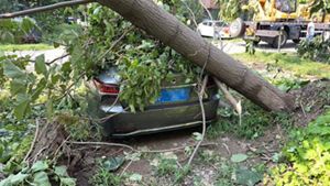 1724772215635145.jpg image005.jpg