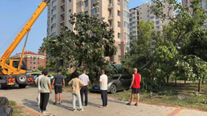 1724772249177086.jpg image007.jpg