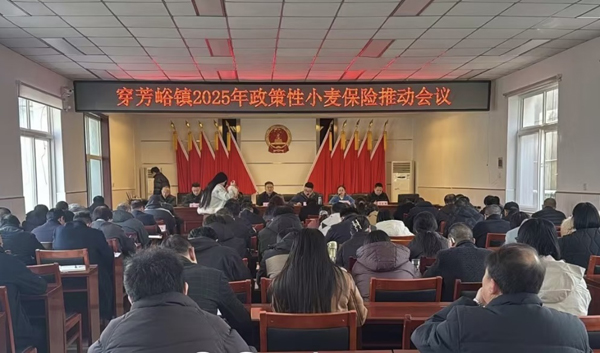 1741621120474802.jpg image003.jpg