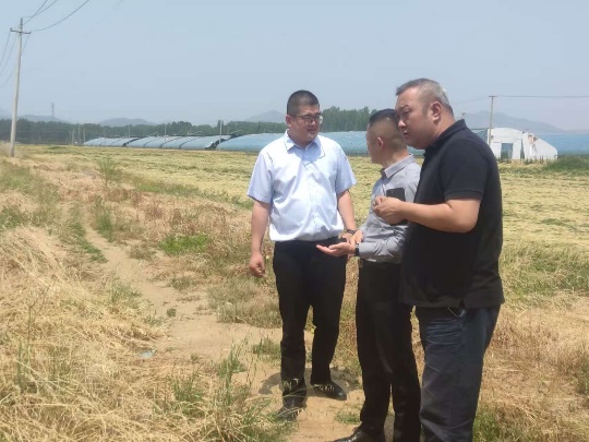 1750336381142449.jpg image003.jpg